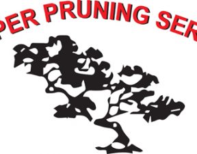 Proper Pruning Service